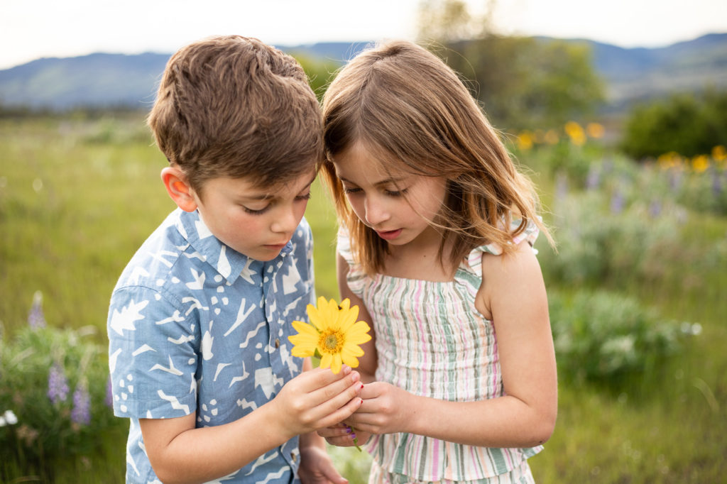 Valentines Day Ideas | Siblings looking at yellow daisy in the Columbia river gorge 