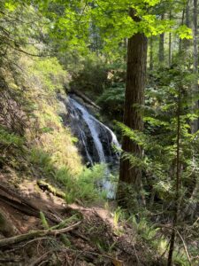 Cascade Falls Trail on Orcas Island | Things to do on Orcas Island