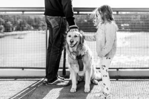 black and white image of golden retriever on ferry with little girl. 