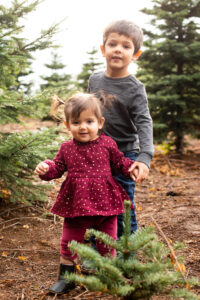 Siblings are holding hands in a tree farm for family photos near portland, Oregon. 