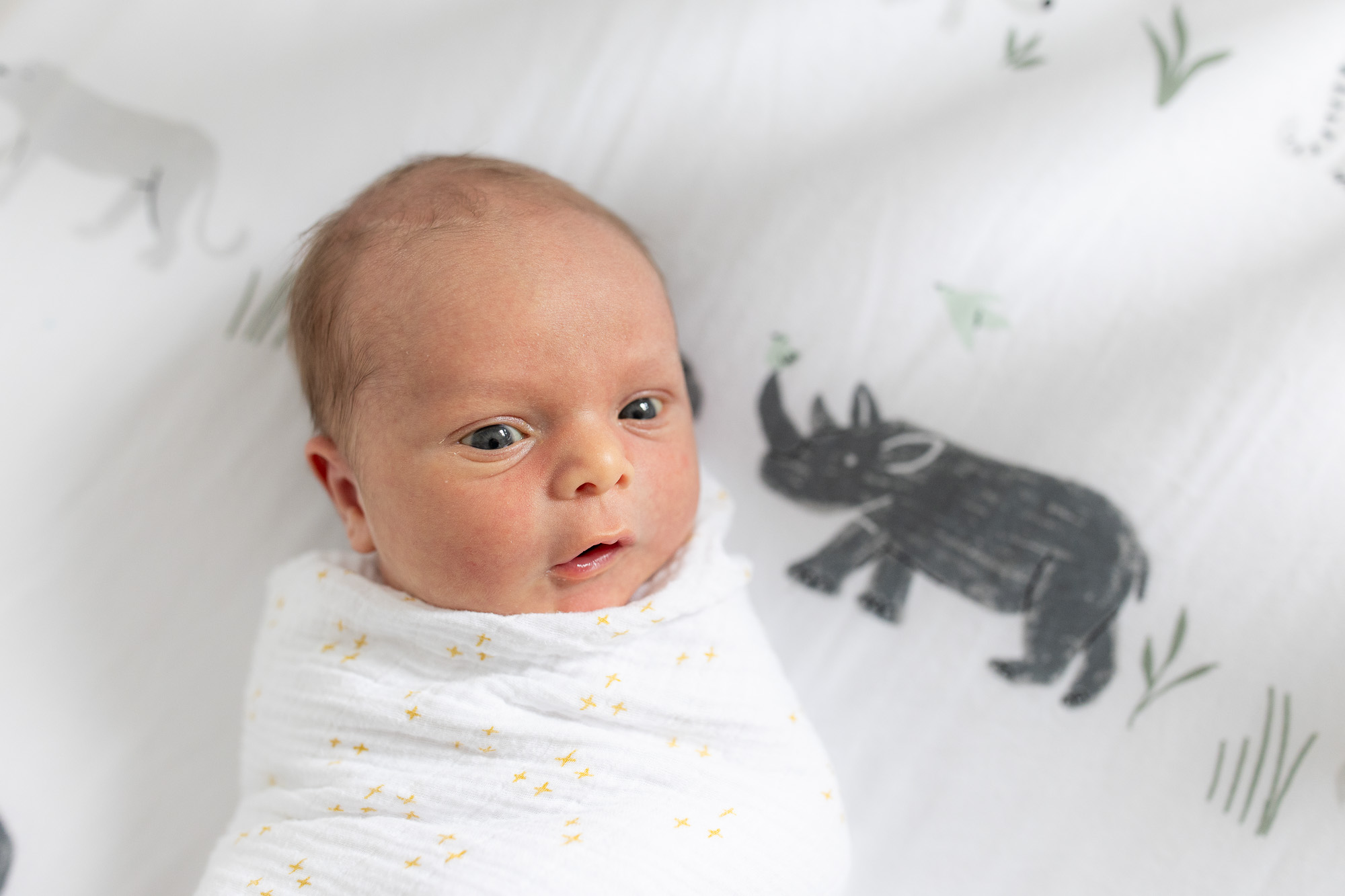 A newborn swaddled in his crib during a newborn photo shoot.