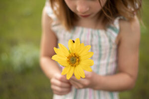 Little girl holding Balsam Root flower at Rowena Crest, Oregon.