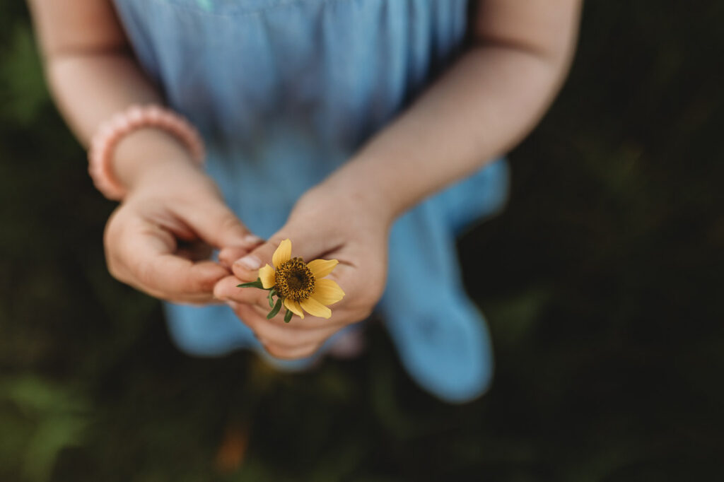 Little girl holds small yellow fall blooming flower for family photos. This photo is featured in a blog about how long family photos should be with young kids. 