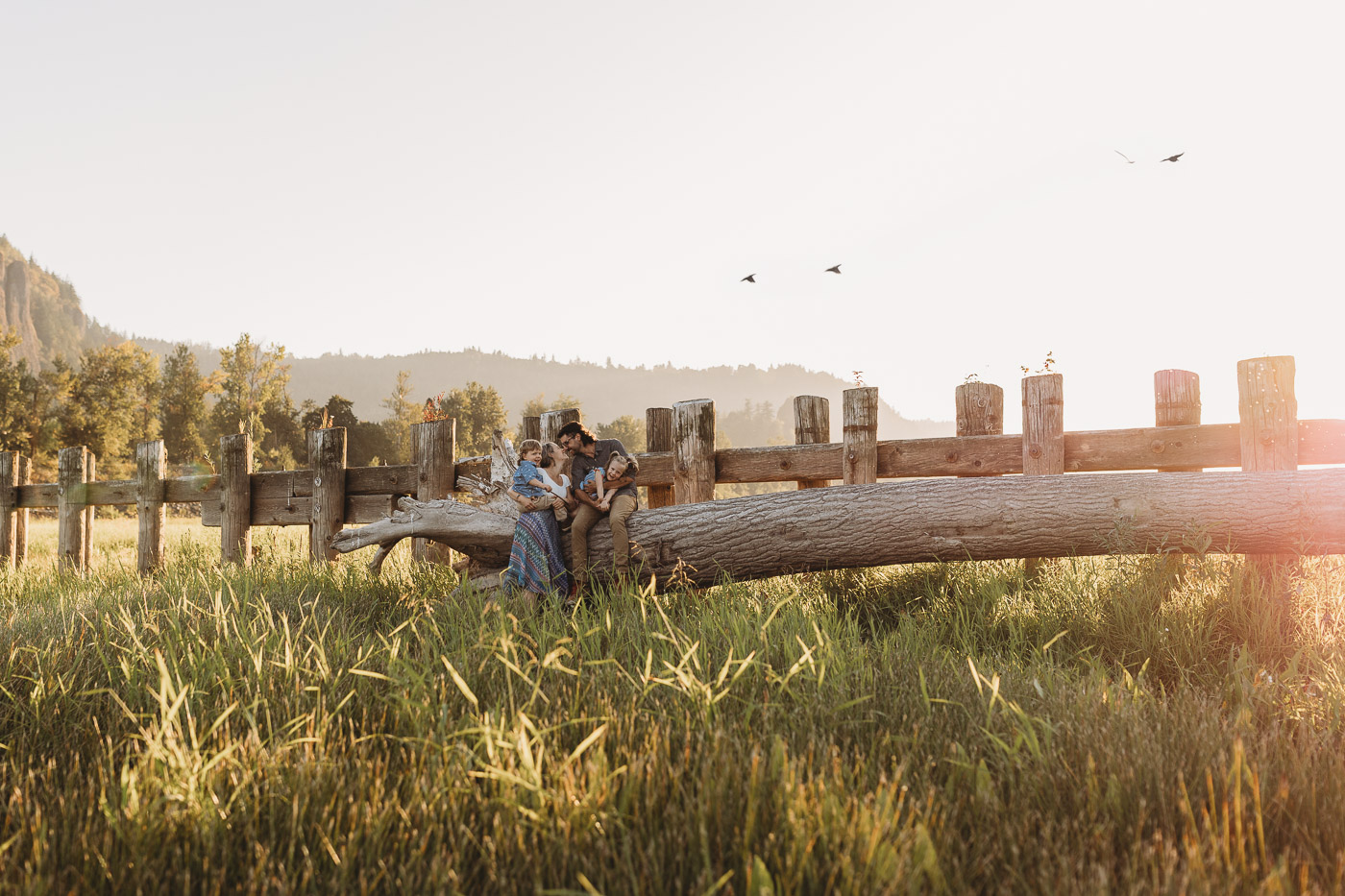 Family of four sitting on a large log at sunset during evening family photos